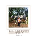 청계어린이집 | 용인 아이랑 갈만한곳 청계목장 어린이집 단체 견학 후기