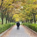 남양성모성지 순례 이미지