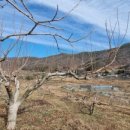 국대농장 이미지