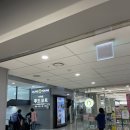 던킨도너츠 김포공항국내선점 | 김포공항 맛집 국내선 푸드코트 위치 가격 추천메뉴