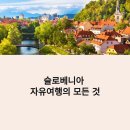 7월 슬로베니아 자유여행 완벽 가이드｜블레드 호수뷰 숙소·알프스 트레킹·와이너리 코스 정리
