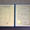 진도개천국 이미지