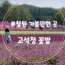 세인트 인 우둠지 펜션 이미지