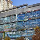 서울봄봄치과의원 | [인천 구월동] 사랑니 빠르게 뽑아주는 치과 &#39;서울이턱사랑니치과의원&#39; 발치 후기