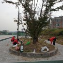 유림동 다목적구장 이미지