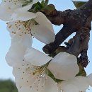 엄나무골농장 이미지