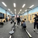 크로스핏 베어 이미지