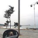 소노하임 이미지