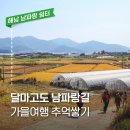 남파랑쉼터 안내소 이미지