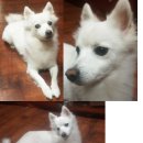 묵동-011 이미지