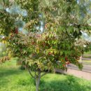 동해어때펜션 이미지