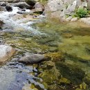 진동 계곡 민박 이미지