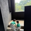 문학해설 체험 이미지