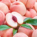 달콤한 푸른농장 이미지