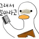 본데이안경원 이미지