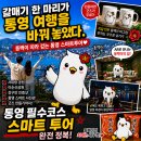 세븐일레븐통영바다점 | 통영 소품샵 스마트 사진관 마스코트 갈매기 동백이 기념품샵 추천