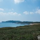 안덕면 상창리사무소 입구 | [제주도 서귀포시] 사계해변 - 전 견종 가능 · 맹견 입마개 · 목줄 착용 · 배변봉투 지참