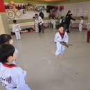 우리아이태권도 이미지