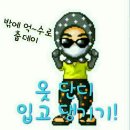 억수로 - 김해시 | 억수로
