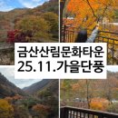금산-37 | 금산산림문화타운 25.11. 가을단풍 구경 &amp; 남이자연휴양림 방문 후기