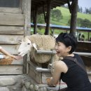 영철목장 이미지