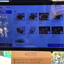 담양 죽녹원 인근 맛집 추천 국수거리 국수당 떡갈비 내돈내산
