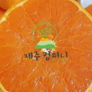 이루컴퍼니 이미지