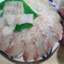 제주국민체육센터 | 제주시 제주국민체육센터 원정수영 후기🏊‍♂️🏊‍♀️