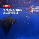크리스탈베이 | 누사페니다투어 발리 스노클링 만타가오리 크리스탈베이 보트투어 후기
