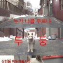 쓰담-쓰담 이미지
