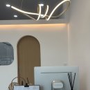 강아지미용실 이미지