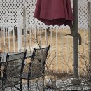 아담한가 | 청주 근교 에어비앤비 아담한가 내돈내산 후기