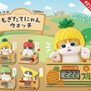 클럽 플로라 이미지