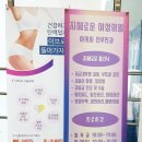 지혜로운여성의원