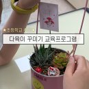 평촌초등학교 | 웃음 가득했던 범계 평촌 초등학교 다육이 꾸미기 수업 출강 🌿