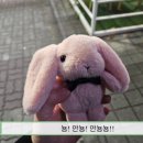 빠냐데로 - 김포시 김포한강2로23번길 14 | 솔직한 포토리뷰] 빠냐데로 ‘티라미수 롤 케이크’는...가 흩날리지 않아… 리얼 실제 후기 간드아!!