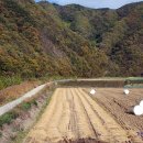 수회초 팔봉분교 이미지