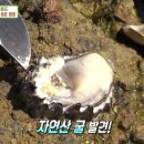 행정사법인해사인 네이버블로그