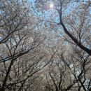 가-41 | 오목교 뷰 맛집 빕스 목동 41타워 점 탐방 후기!! (feat. kt 고객 보답 프로그램)