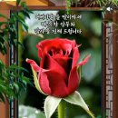 묵자 --같이... 이미지