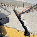 대전지족초교 이미지