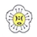 경일여자중학교 이미지