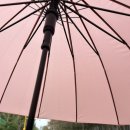 우산정보 | [제품리뷰]크고 가벼운 색감예쁜 라이즈원 장우산 (자몽컬러 후기) 후기,가격,정보