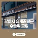 정담 동물메디컬센터 | 부천강아지슬개골탈구전문병원, 수술적 교정이 필요합니다.