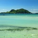 제주 비양도 호니토 이미지