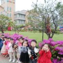 활짝핀유치원 이미지