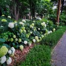 작은막공원 이미지