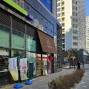 신도림 채움케이크샵에서 산 조각케이크로 소소한 연말모임