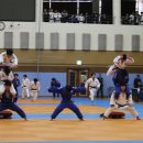 용인대 대한 유도체육관 이미지