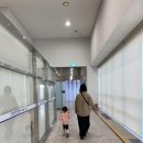 부산 아기랑 여행, 부산원나잇크루즈 팬스타드림호 후기